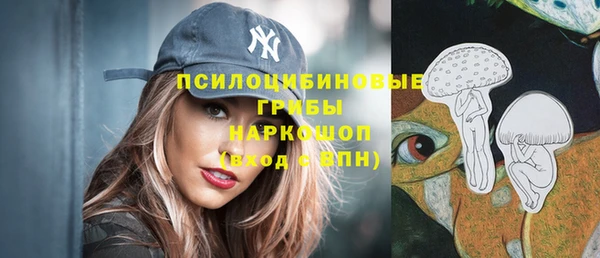 дживик Вязники