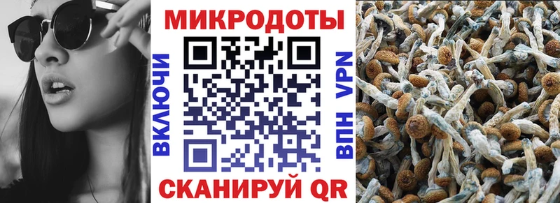 Галлюциногенные грибы мицелий  Павловская 